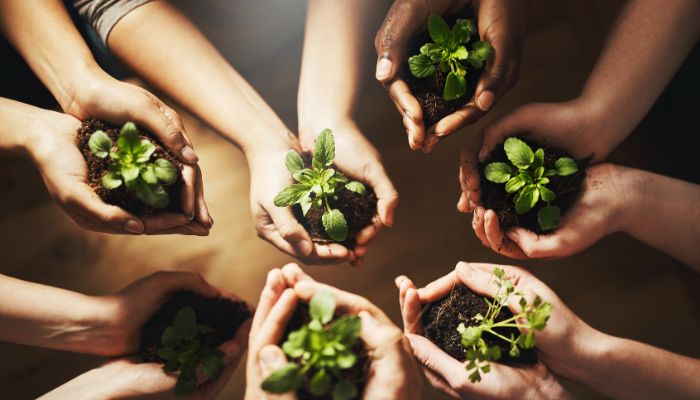 sostenibilidad alimentaria